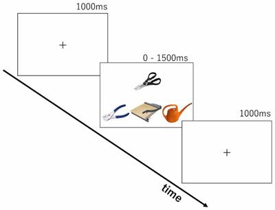 Facilitation of Function and Manipulation Knowledge of Tools Using Transcranial Direct Current Stimulation (tDCS)